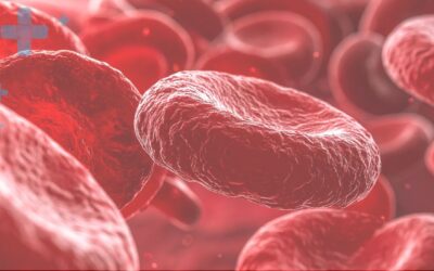 How Photobiomodulation Supports Circulation and Oxygen Delivery for Recovery
