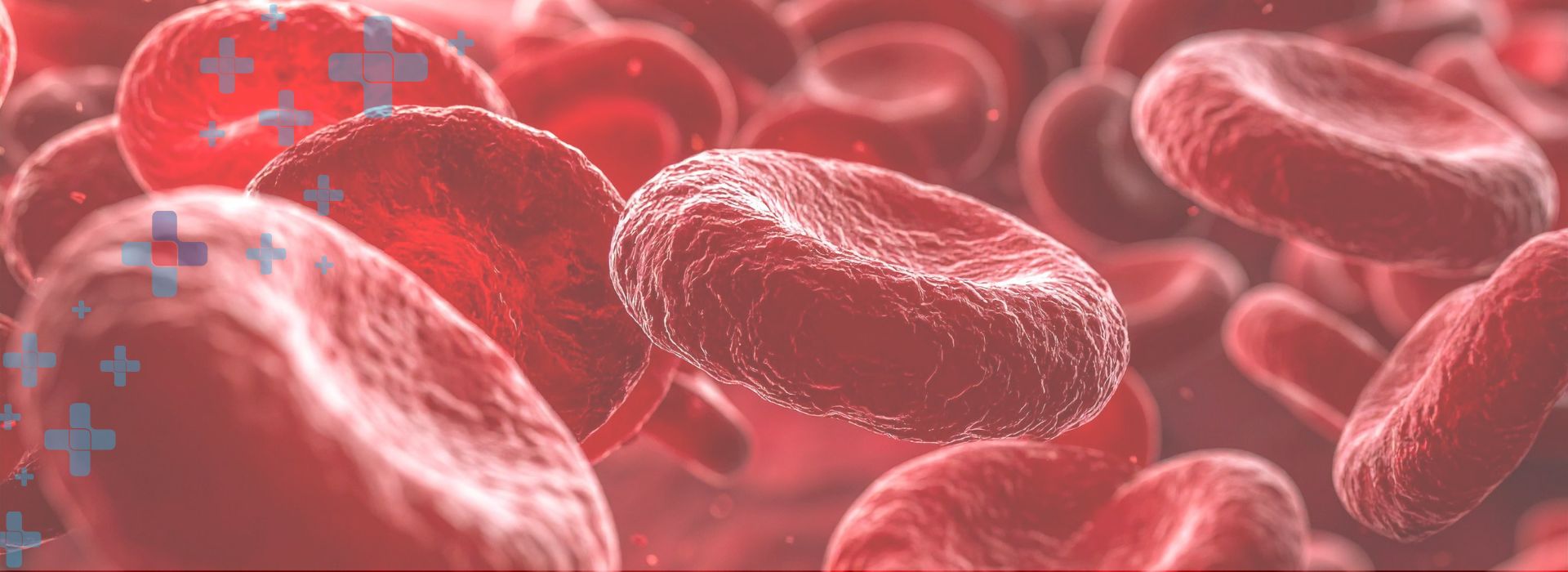 How Photobiomodulation Supports Circulation and Oxygen Delivery for Recovery – Featured Image